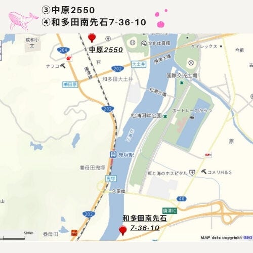 フォトギャラリー画像2