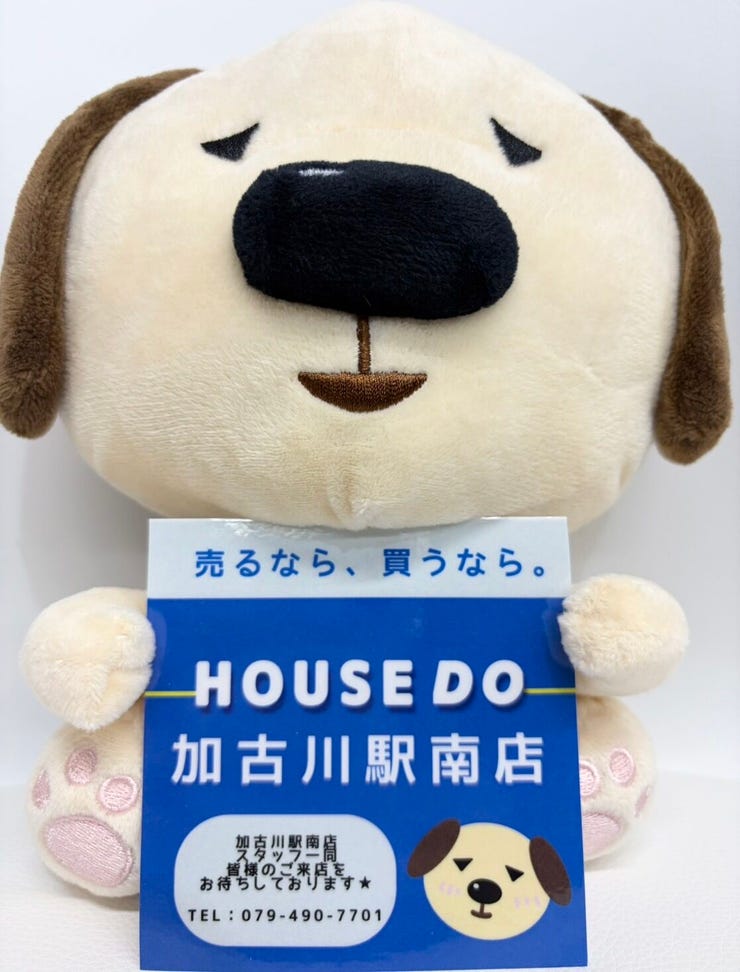 フォトギャラリー画像1