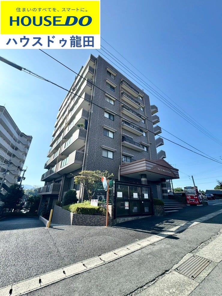 フォトギャラリー画像2