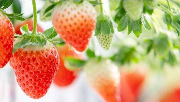 イベントタイトル画像