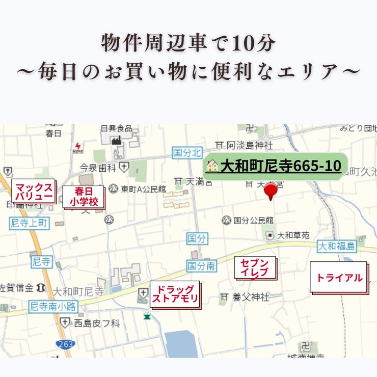 フォトギャラリー画像1