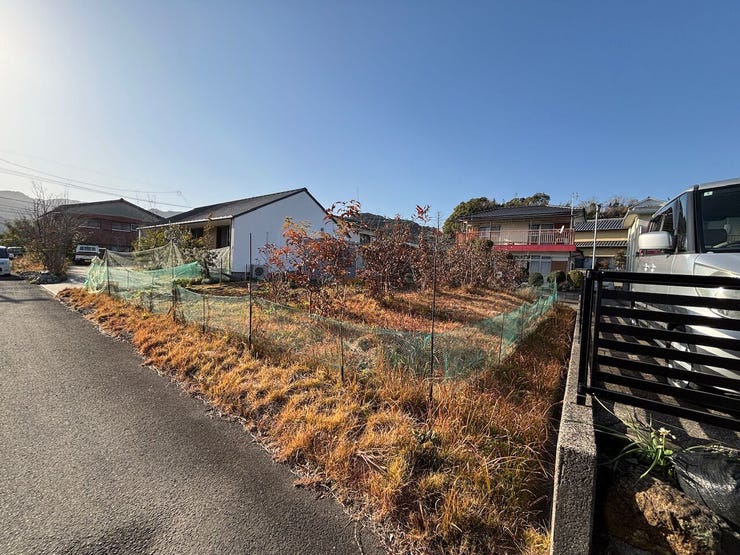 フォトギャラリー画像2