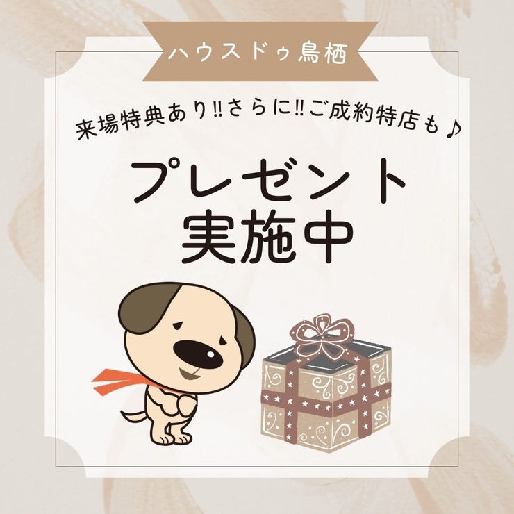 フォトギャラリー画像1