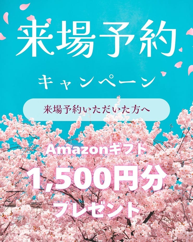 フォトギャラリー画像2