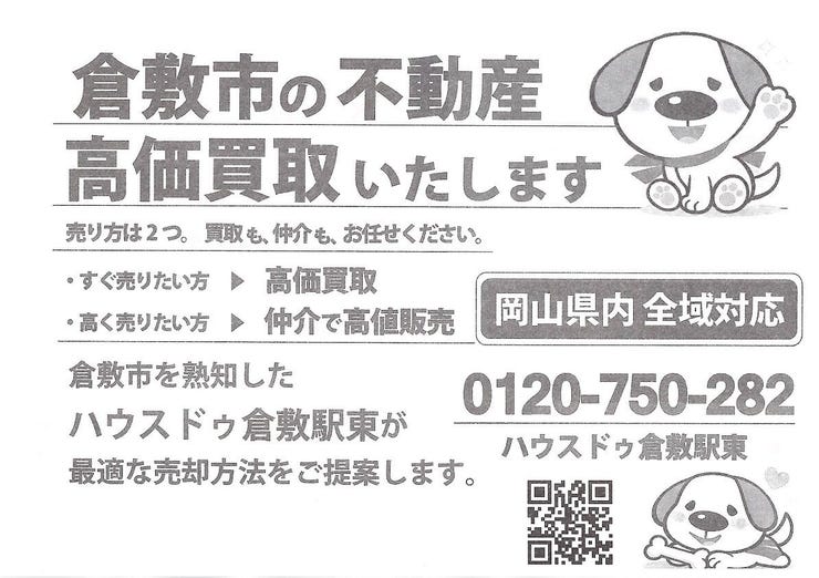 フォトギャラリー画像1