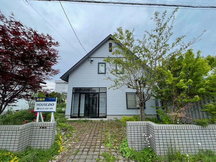 フォトギャラリー画像1