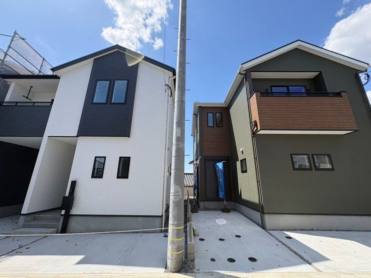 フォトギャラリー画像1