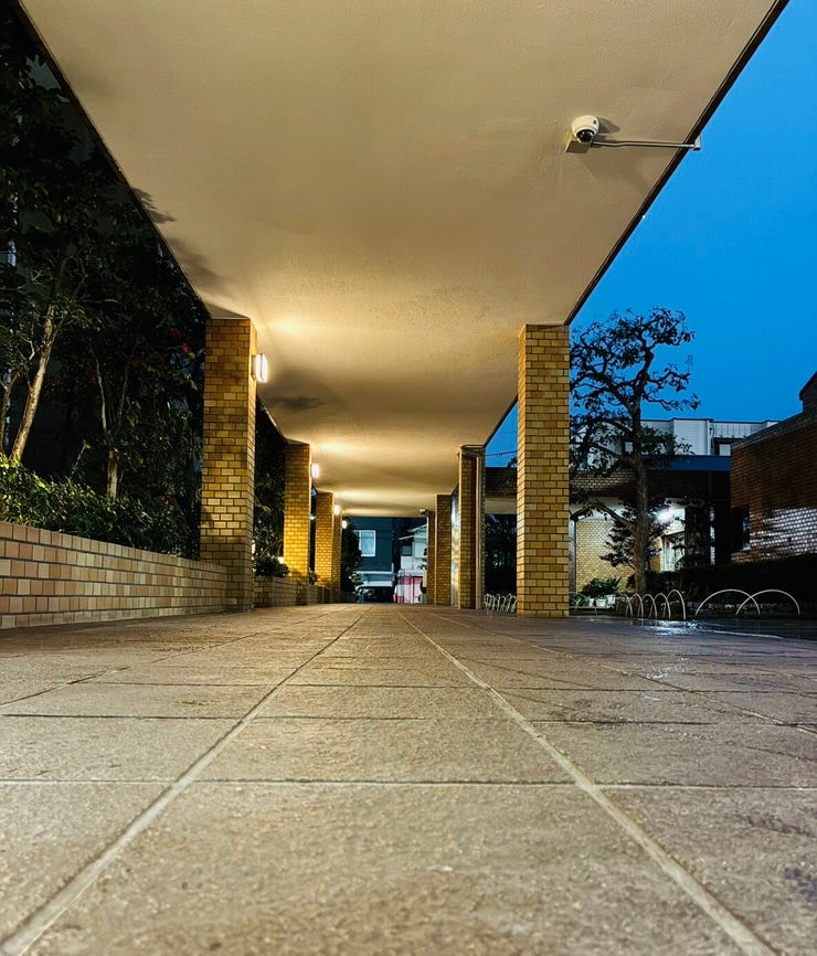 フォトギャラリー画像1