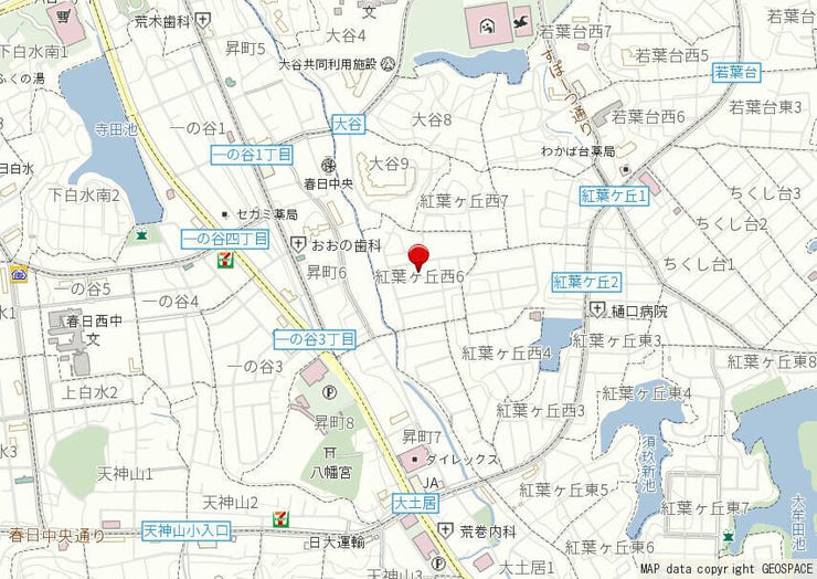 現地案内図