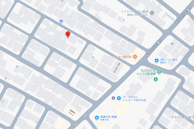 現地案内図